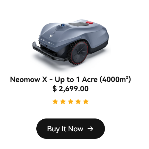 buy it now.png