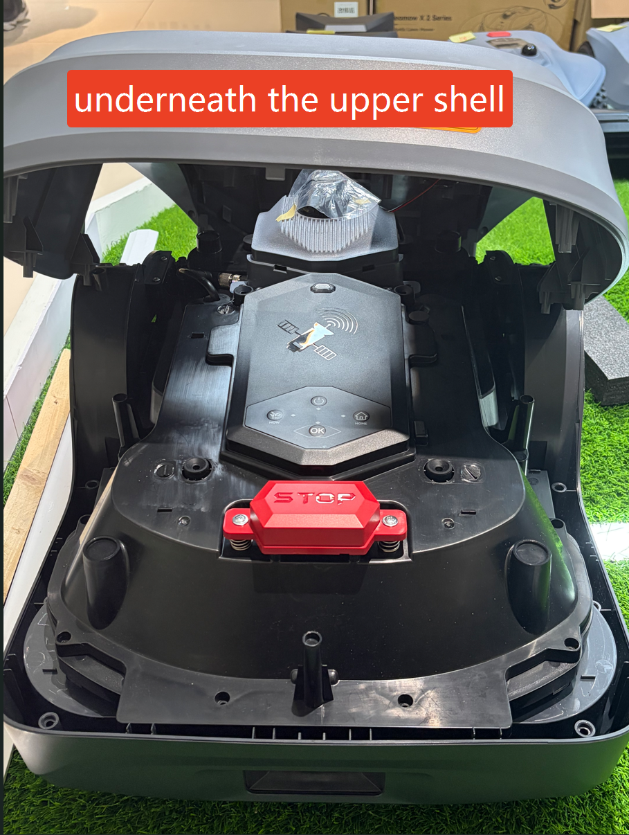 underneath the upper shell.png